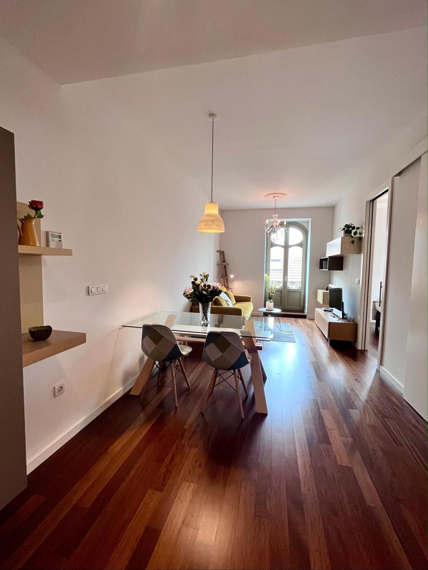 Apartment Homely Felix Saenz Deluxe